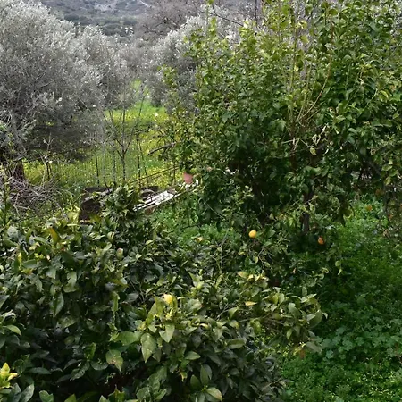 Naxos Filoti Beautiful Apartment With Amazing View Apartmán