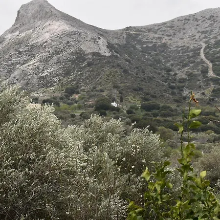 Apartmán Naxos Filoti Beautiful Apartment With Amazing View