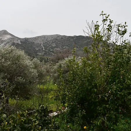 Naxos Filoti Beautiful Apartment With Amazing View Apartmán